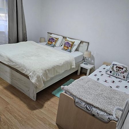 לובליאנה Muric Apartman 9 מראה חיצוני תמונה